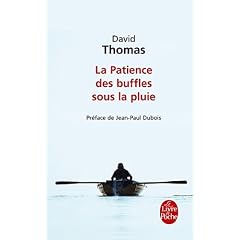 La Patience des buffles sous la pluie