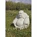 Woodstock Garden Buddha - Medium Image