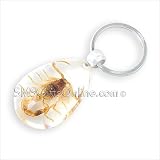 Clear Acrylic Amber Insect Scorpion Keyring