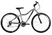 Search : Raleigh Trail XC24 Mens Alloy Mountain Bike - Silver , 17 Inch