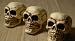 3 Pack of Small Skulls