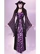 Countess Of Dark Gothic Halloween Costume