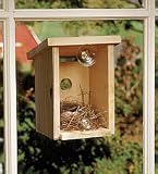 Window Nest Box