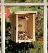Window Nest Box