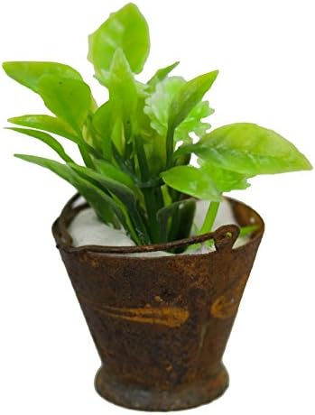 Mini Tappered Pail w/Plant
