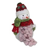World Wide Gourmet Foods Snowman Jar Gift Set with Cranberry Tea Cookies