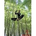 Bamboo Seeds Giant Moso 25+ Seeds Phyllostachys Pubescens Eco Conscious Screening