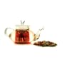 Teavana Belle Amitie Glass Teapot