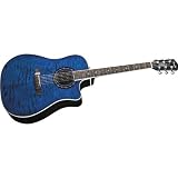 41%2BbBvfzwCL. SL160  Best Guitars For Beginners (Acoustic and Electric)