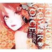 Primrose Flower Voice