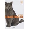 Le chat Chartreux