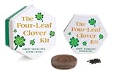 (THE FOUR LEAF CLOVER KIT [WITH SEEDS and A POT]) BY Liflander, Pamela(Author)Paperback Feb-2003