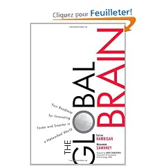 The Global Brain: Your Roadmap for Innovating Faster and Smarter in a Networked World