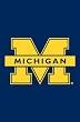 University of Michigan Flag - Garden Size University of Michigan Flag - Garden Size
