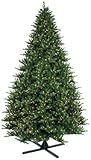 Autograph Foliages C-80648 15 ft. Balsam Fir Tree
