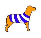 QPR Queens Park Rangers Personalised Waterproof Dog Coat Size XS (10 25cm)