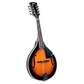 Rover Student Mandolin - Maple (RM-25)