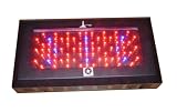 240W LED Grow Light Lighthouse Hydro BlackStar 240 Watts Flowering
