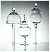 Glass Apothecary Jars S/3 20.2,17.9,14.6"h