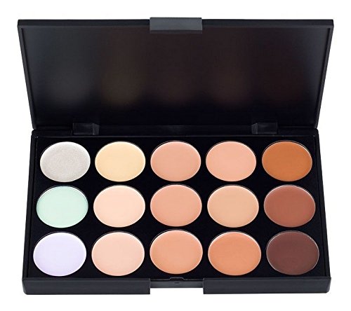 NEW Coastal Scents Eclipse Palette- 15 concealer shades