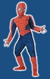 Deluxe Child Spider-Man 3 Costume