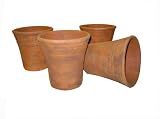 Greenhouse Collection Medium Hot House Pots (Set of 4)