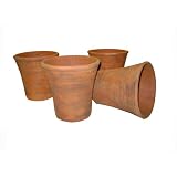 Greenhouse Collection Medium Hot House Pots (Set of 4) by 