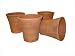 Greenhouse Collection Medium Hot House Pots (Set of 4)