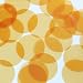 Round Flat Sequin 40mm Sand Yellow Transparent Glossy and Matte Duo Two Sided. Couture Paillettes. Made in USA