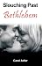 Slouching Past Bethlehem by Carol Adler