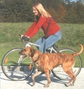 Trixie - Laisse réglable pour le vélo ou le jogging