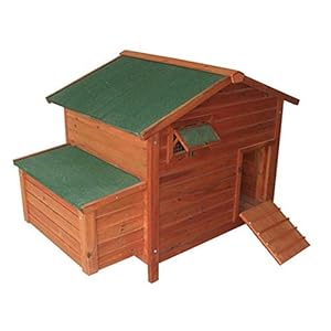 Pawhut Deluxe Wooden Large Chicken Coop/Hen House with 2 Roosting 