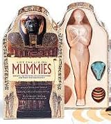 Lift the Lid on Mummies
