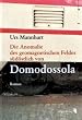Image of Die Anomalie des geomagnetischen Feldes südöstlich von Domodossola