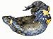 Fire Bellied Toad Photographic Poster Print by David M. Dennis, 24x18