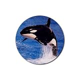 Orca Killer Whale Rubber Round Coaster (4 pack)