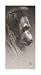Jojo, The Orangutan - Frank Caldwell Art Print Poster 11 x 20