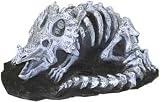 Blue Ribbon Fossil Finds Triceratops