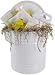 Pampered baby new baby welcome gift baskets luxury baby care products