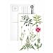 Opium Poppy and other plants (w/c) by Elizabeth Rice - Postcard (Pack of 8) - 6x4 inch - Art247 Highest Quality - Standard Size - Pack Of 8