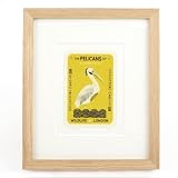 The Pelicans of St James's Park - Tom Frost (Ltd Edition Framed Print)||EVAEX