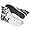 White/Black/Face