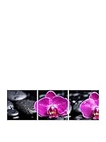 Wall Decor  Fotocuadro Tríptico Purplered