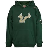 Nike South Florida Bulls Youth Green Pullover Hoody Sweatshirt