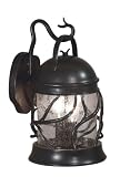 Kenroy Home 92130BRZ Twigs Small Outdoor Lantern, Bronze