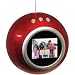 Digital Photo Ornament