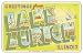 Fridgedoor - Greetings From Lake Zurich IL - Car Magnet