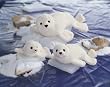 Aquatic Wonders Seal (small) 15" by Gund 32044