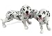 Dalmation Handmade Salt and Pepper Shaker (5cm x 5cm)