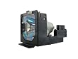 Projector Lamp for LM1018 132-Watt 1000-Hrs UHP